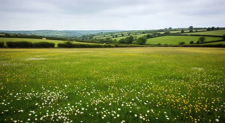 Tableau sur plexiglas Prairie, marais Lush green hills and fields with hedgerows and wildflowers under a cloudy sky in rural Ireland or England  © Filip