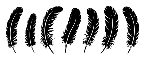 Obraz premium A Collection of Black Feather Silhouettes on a White Background