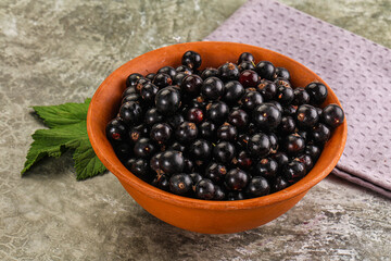 Ripe black currant in the bowl