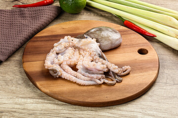 Raw fresh octopus for cooking