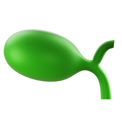 3D Render Minimalist green olive fruit illustration with smooth gradient on white background for food, health, or branding visuals.