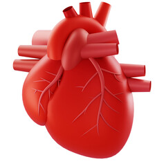 3D Render 3D-rendered anatomical heart model ideal for medical, education, and health marketing visuals.