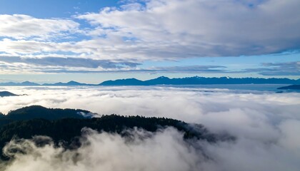 Fototapeta premium A vast expanse of clouds shrouds a mountain range, revealing a serene and tranquil vista.