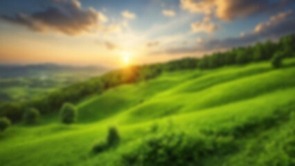 Obraz premium Blurry image of green open nature, lots of dense and shady trees, suitable for blurry nature theme wallpaper.