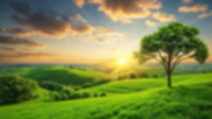 Obraz premium Blurry image of green open nature, lots of dense and shady trees, suitable for blurry nature theme wallpaper.