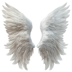 angel wings isolated on transparent background Remove png, Clipping Path, pen tool