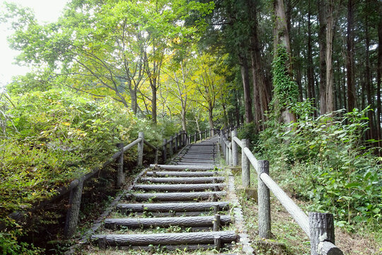 日本：宿谷の滝の初秋【奥武蔵グリーンライン】埼玉県毛呂山町・10月