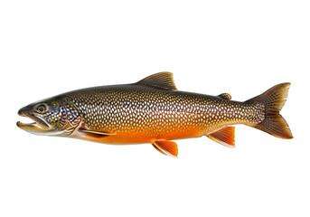 A detailed close-up view of a speckled trout, showcasing its intricate markings and vibrant coloration against a stark black background.
