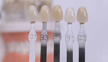 Tooth shade guide for dental color matching