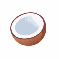 vector illustration of an abstract coconut