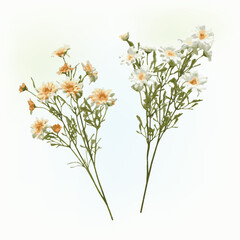 Flower pattern for product decoration and printing.