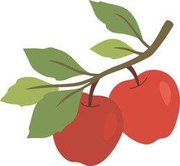 Apples Fruit with Branches