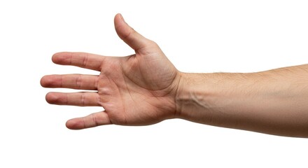 An outstretched arm hand displaying veins fingers skin texture against a white background