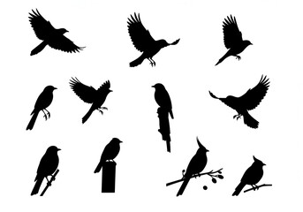 Captivating collection of diverse bird silhouettes showcasing flight and perching in dynamic poses, perfect for nature projects