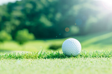 新緑の芝生が綺麗なゴルフ場