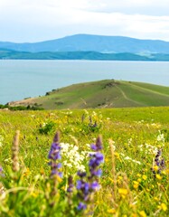 Lush meadow overlooking a lake and mountains