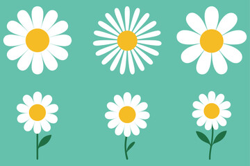 Daisy icon set. White chamomile daisy. Cute round flower plant collection. Growing concept. Love card symbol. Flat design. Green background.
