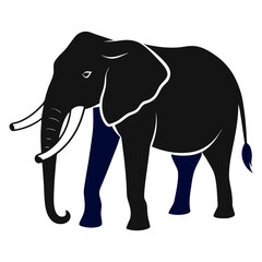 Fototapeta premium elephant vector illustration