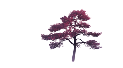 Stylized Pine Tree, isolated on transparent background