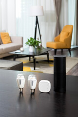 The led lighting bulb is on the desktop