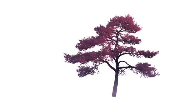 Stylized Pine Tree, isolated on transparent background