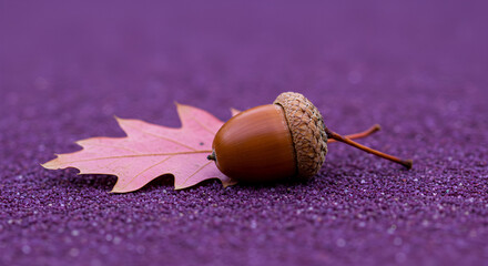 acorn on oak leaf