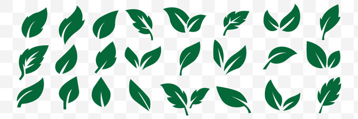 Green eco-friendly leaf icon set in minimalist style showing different leaf shapes for sustainability and nature theme
