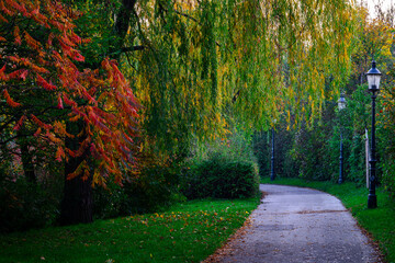 Fototapeta premium Herbstspaziergang im Park