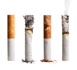 Smoking progression from fresh to ash, smoke rising