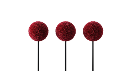 Three identical, perfectly sculpted crimson topiary spheres on slender black stems, precisely aligned against a transparent background, conveying serene order and minimalist beauty