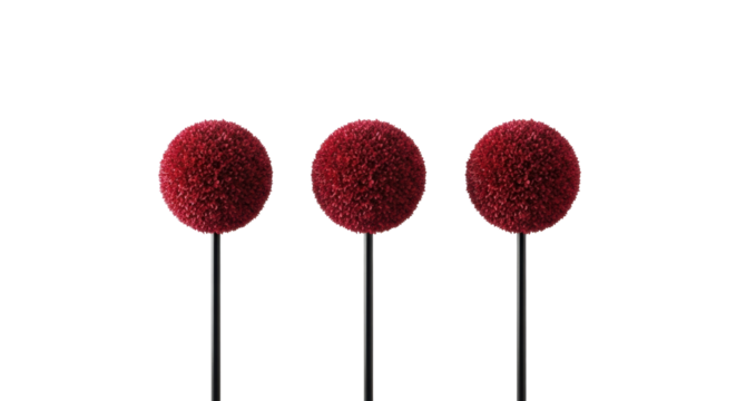 Three identical, perfectly sculpted crimson topiary spheres on slender black stems, precisely aligned against a transparent background, conveying serene order and minimalist beauty