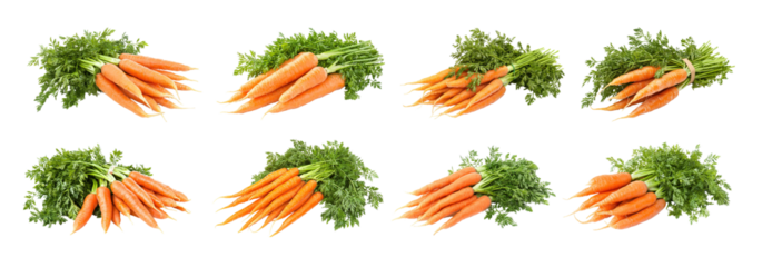 Fresh orange carrots with leafy green tops isolated. Healthy root vegetables arranged in bunches on white background. Organic produce highlights nutrition, diet, and farm freshness.
