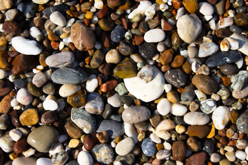  close-up, top-down view of colorful, wet beach pebbles