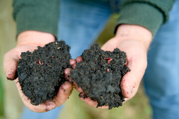 Close-up of two hands holding a piece of terra preta, a highly fertile, dark soil enriched with organic matter, biochar, and thriving worms.