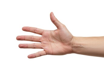 Open human hand palm facing forward with fingers spread