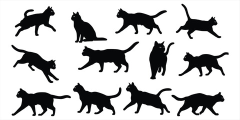Twelve Black Cat Silhouettes in Different Poses on White Background feline animal