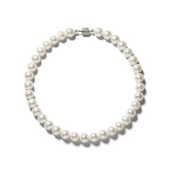 An elegant single strand of round white pearls forming a classic necklace, arranged in a circle on a plain white background.