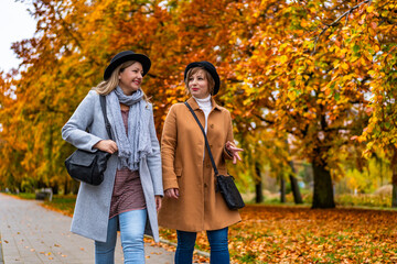 Autumn in city. Two beautiful mature women in brimmed hats walking in city park on autumn day. Front view