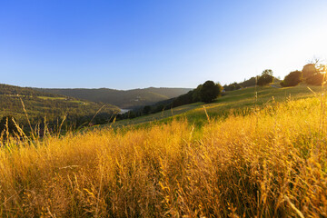 Górski krajobraz wśród wzgórz i bujnych zielonych pól, złota godzina, naturalne piękno, Beskidy, Cieńków, Polska © anettastar