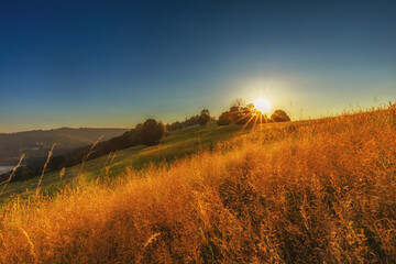 Górski krajobraz wśród wzgórz i bujnych zielonych pól, złota godzina, naturalne piękno, Beskidy, Cieńków, Polska © anettastar