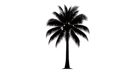 Silhouette of a Palm Tree on White Background Tropical Vacation and Summer Concept