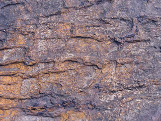 The image is of a rocky surface with a lot of texture. The rocks are of various sizes and shapes, and they are scattered all over the surface. Scene is rugged and rough, with a sense of wildness