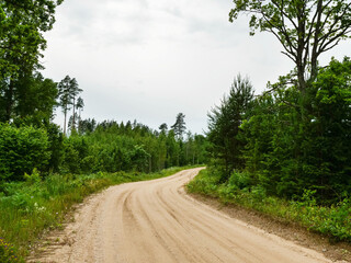Small rough dirt road in a forest. Trip to nature concept. Living in remote rural country side in nice clean environment.
