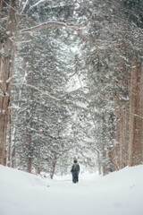 Shrine in a heavy snowfall area