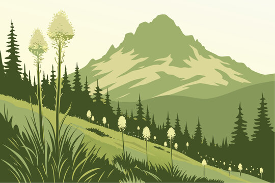 A Washington mountain meadow filled with beargrass sways under the gentle warmth of morning light
