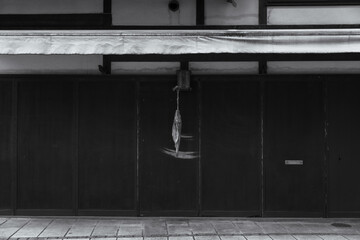 Traditional Japanese townscape