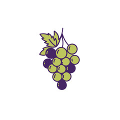 Fresh, vibrant, and visually appealing illustration of grapes.