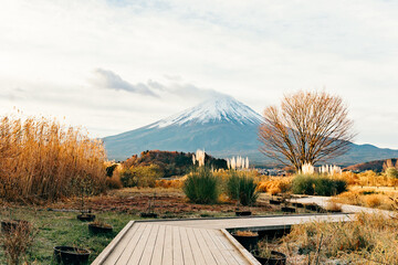 mount fuji in japan