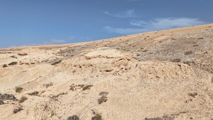 desert place where the scarce vegetation meets the mountains and the sand 