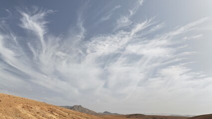 desert place where the scarce vegetation meets the mountains and the sand  © alexisftv